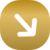 Vector